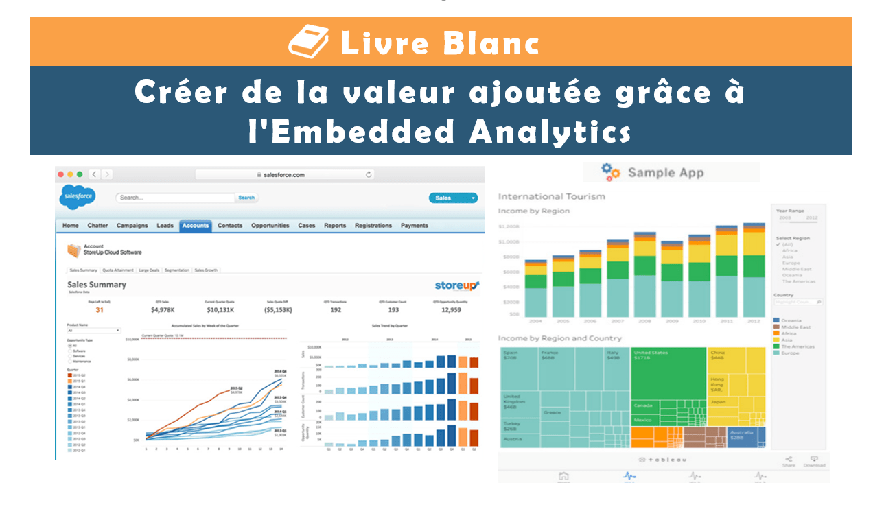 Livre Blanc : Créer de la valeur ajoutée grâce à l’Embedded Analytics