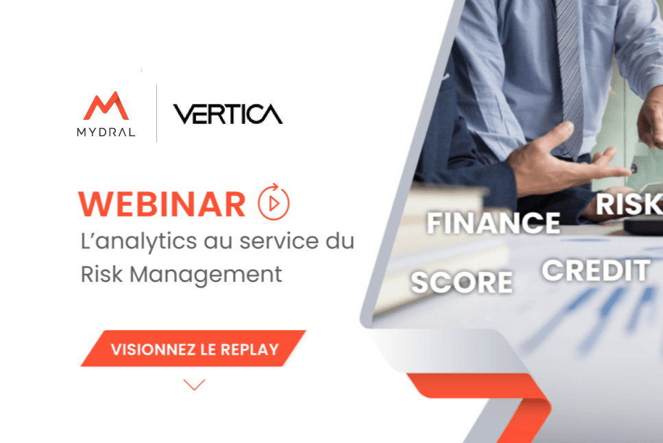 Webinar Vertica risk management