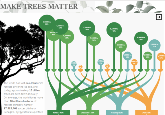 Viz Make trees matter - Thuy