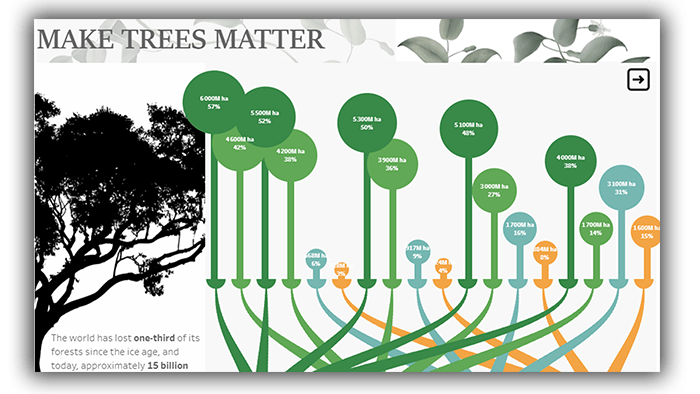 DASHBOARD MAKE TREES MATTER