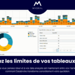 DATABRICKS NATIFS POUR LA BUSINESS INTELLIGENCE AVEC GENIE